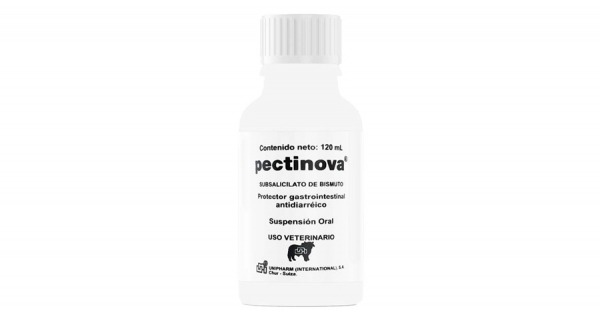 Pectinova