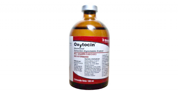 Oxytocin